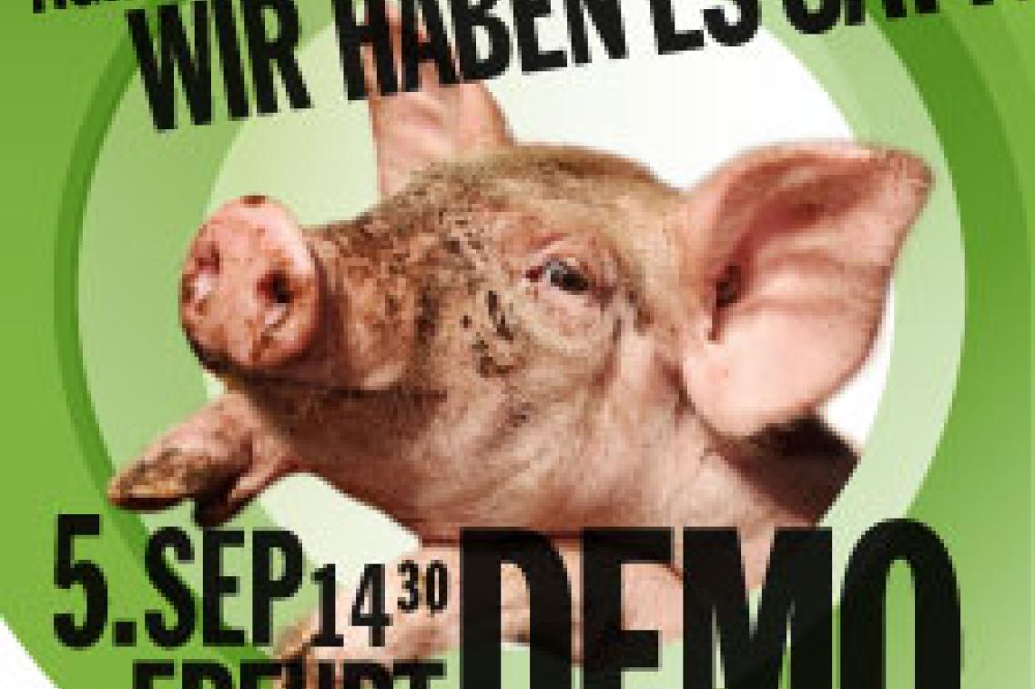 Bild zur News