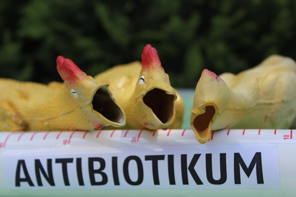 Artgerechte Tierhaltung fördern, Reserveantibiotika abschaffen Bild zur Pressemitteilung