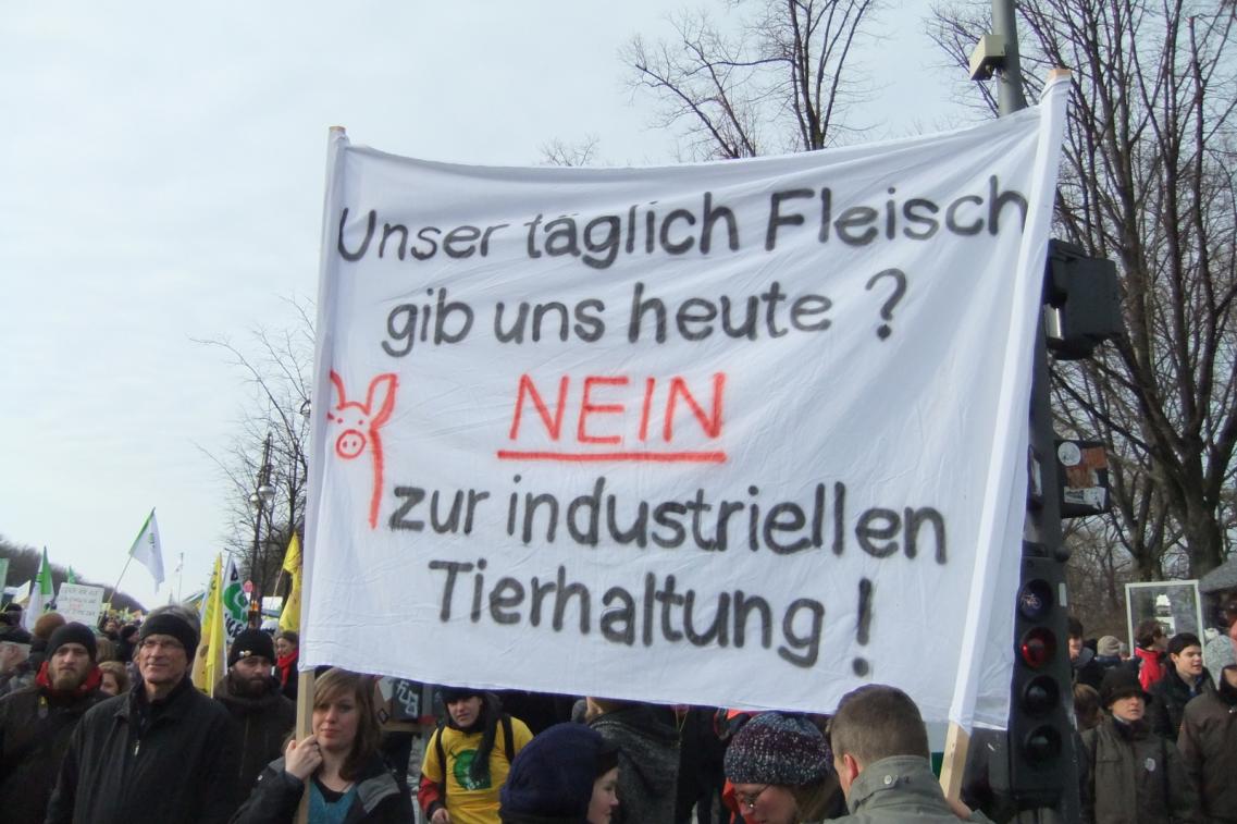 Stoppt Tierfabriken, Gentechnik und TTIP. Für die Agrarwende! Bild zur News