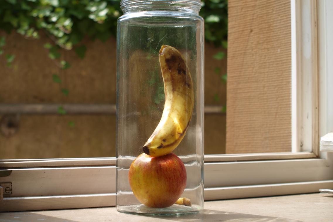 Tag der Ernährung