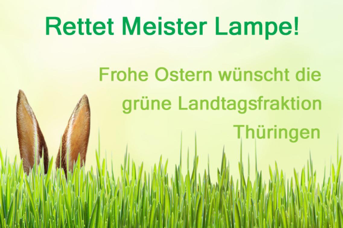 Bild zur News