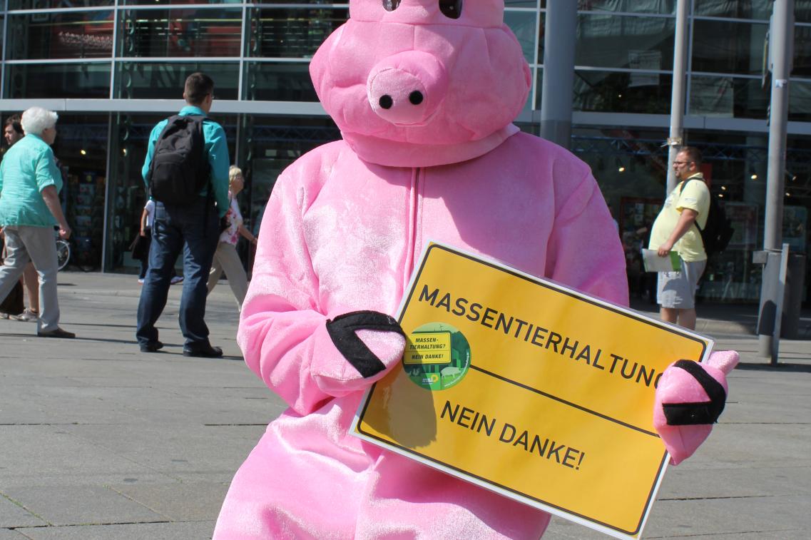 Schwein
