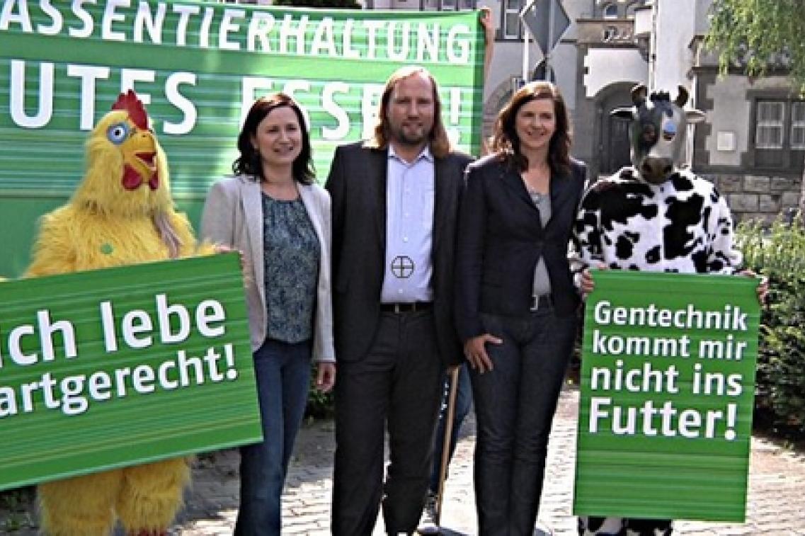 Bild zur News