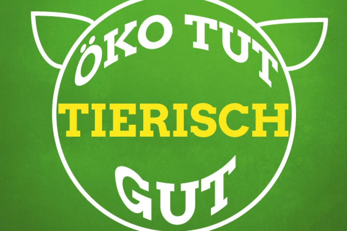 Bild zur Pressemitteilung