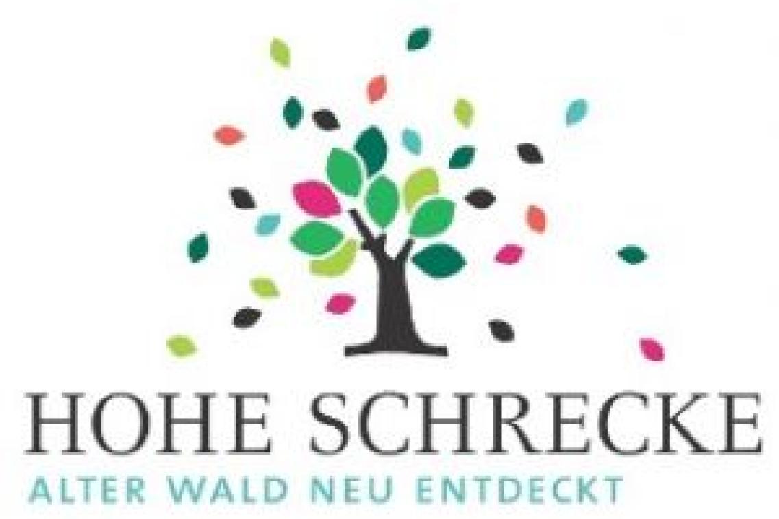 Logo Hohe Schrecke - Alter Wald mit Zukunft Logo Hohe Schrecke - Alter Wald mit Zukunft