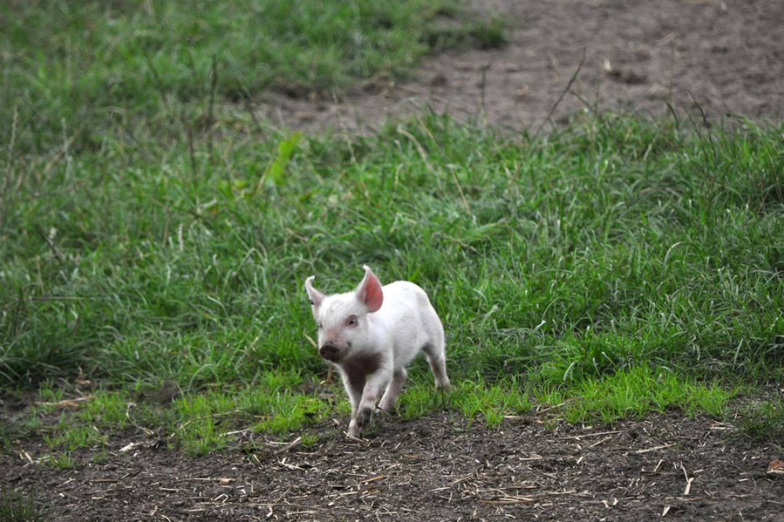 MeretH.@flickr Bild zur Pressemitteilung