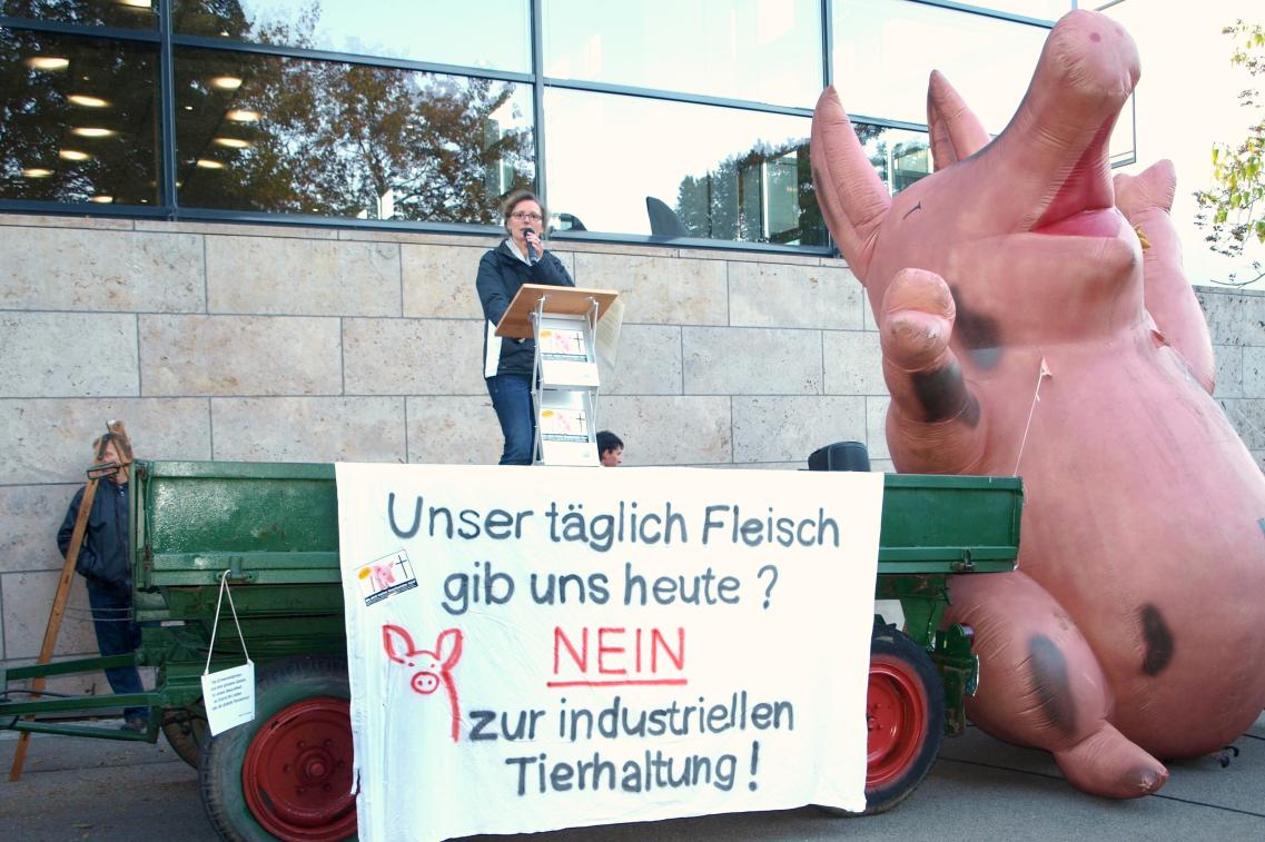 Bild zur Pressemitteilung