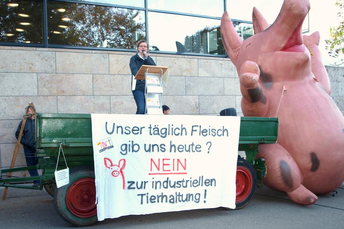 Bild zur News