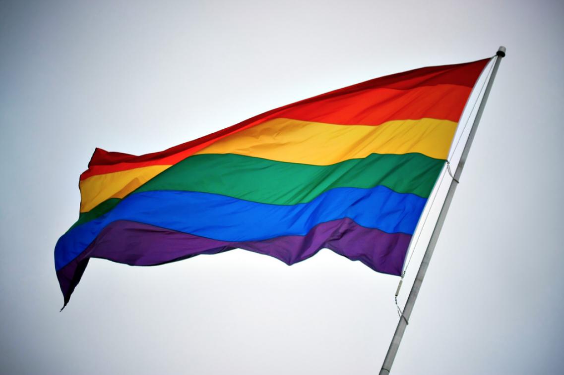 Bild zur Pressemitteilung: Regenbogenfahne - CSD_brainchildvn@flickr