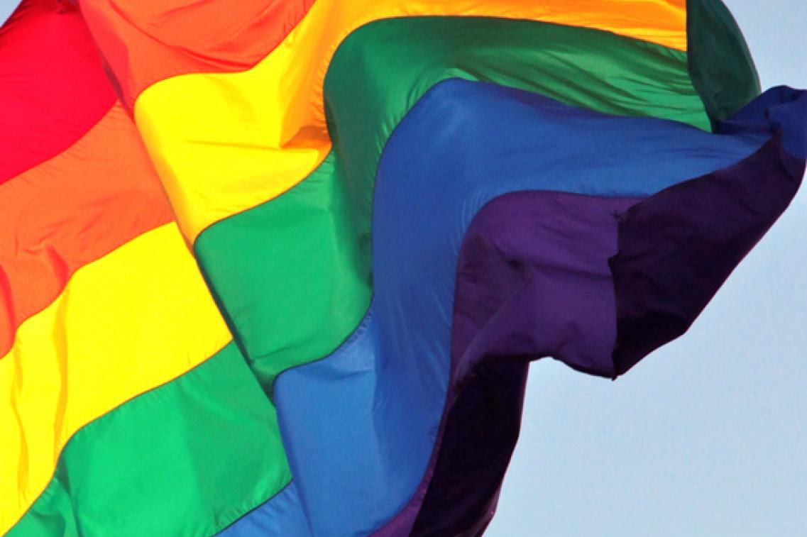 Regenbogenfahne - CSD_torbakhopper@flickr Bild zur Pressemitteilung