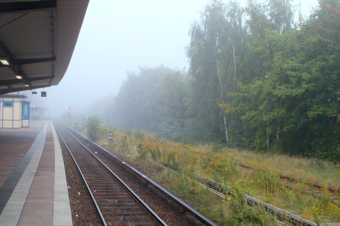 s-bahnhof_silent_hill@flickr Bild zur News