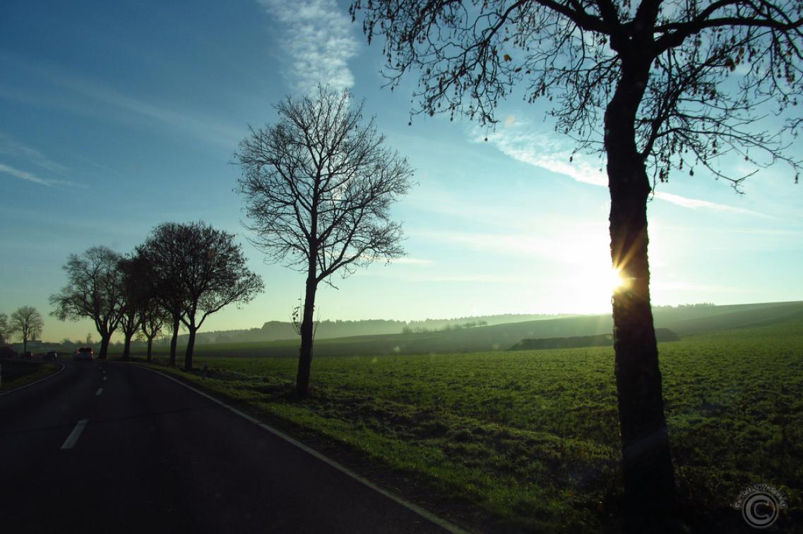 sascha_mainburg@flickr Bild zur News