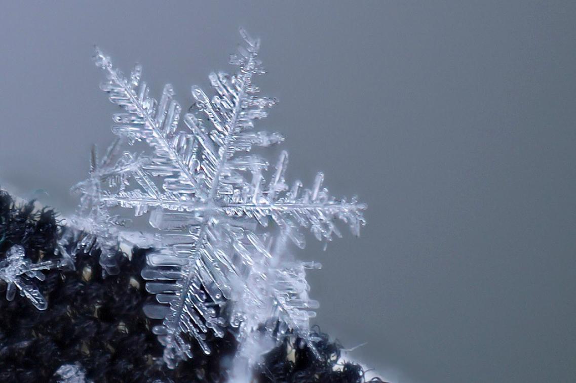 Schneeflocke_mtphelm@flickr Bild zur Pressemitteilung
