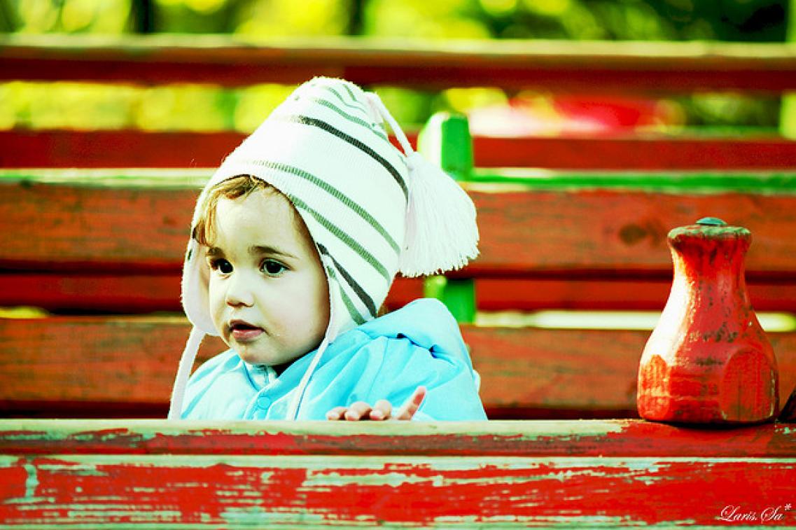 springtime@flickr Bild zur News
