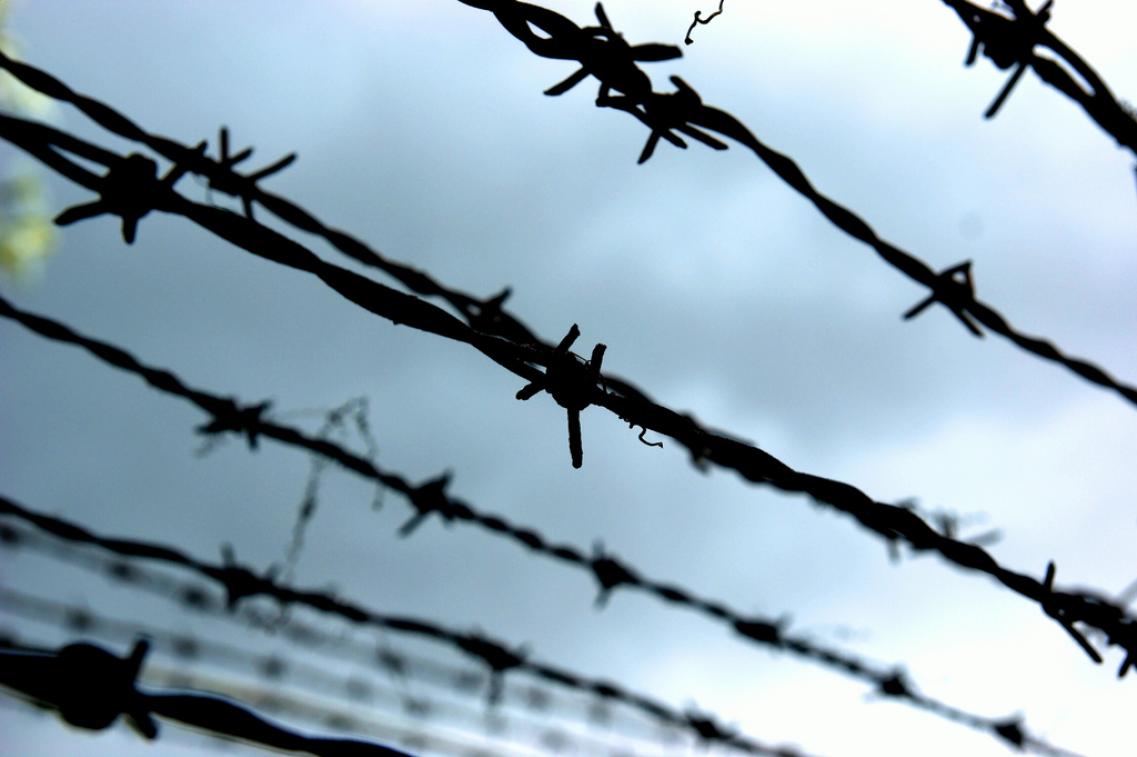 Stacheldraht-Allie_Caulfield@flickr Bild zur Pressemitteilung