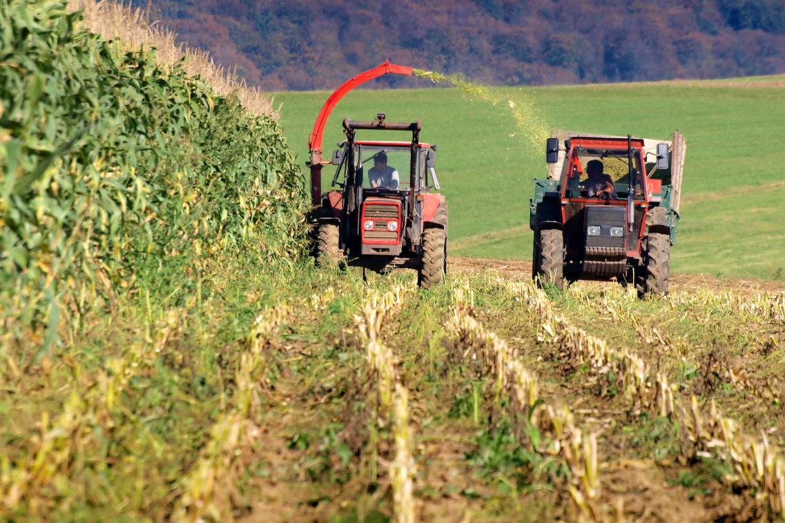 traktorenamfeld(c)mirpic-fotolia.com