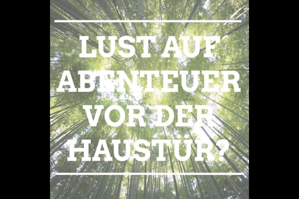 Lust auf Abenteuer vor der Haustür? #Naturwald Thumbnail