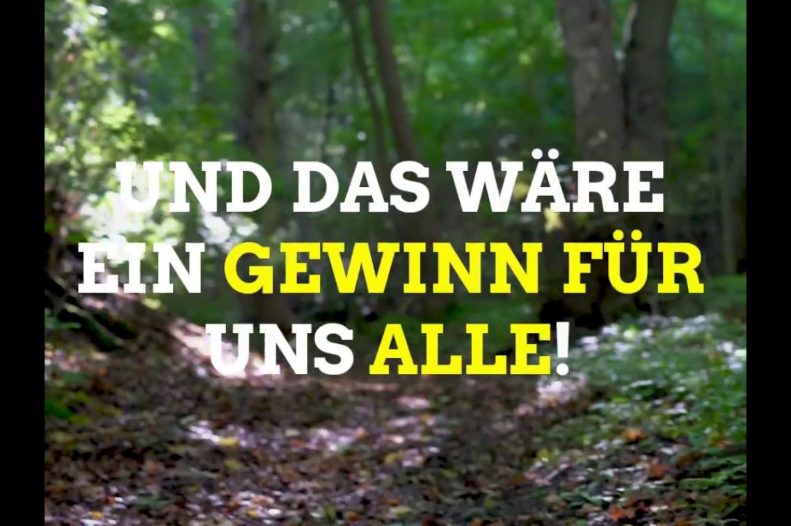 Naturwald ist lebenswichtig (mit Video) Thumbnail
