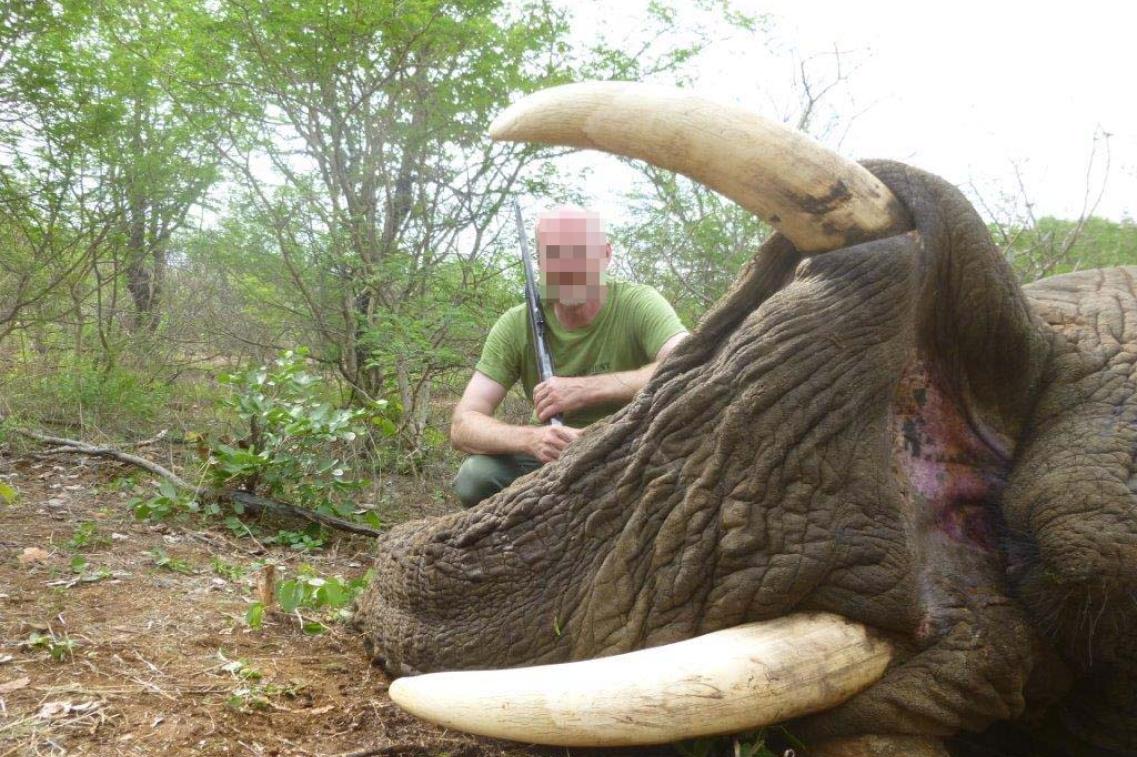Uwe W. mit erlegtem Elefant Uwe W. mit erlegtem Elefant