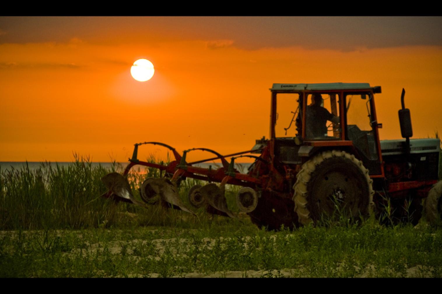 Agrarbericht verdeutlicht: Landwirtschaft von außerordentlicher