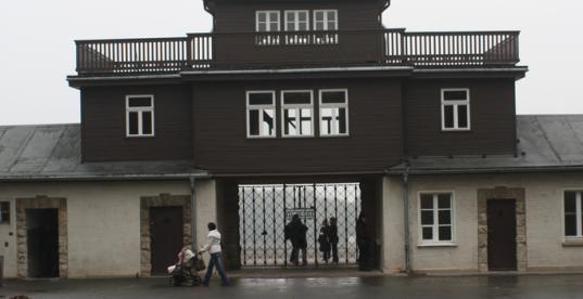 Bild zur Pressemitteilung