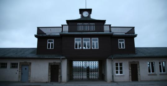 Bild zur Pressemitteilung: Buchenwald_vincent â~tdesjardins@flickr