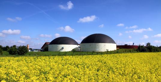 Bild zur Pressemitteilung: © Jürgen Fälchle - Fotolia.com