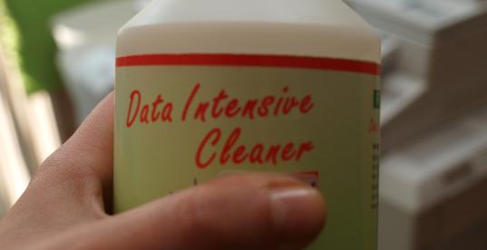 Datenreiniger