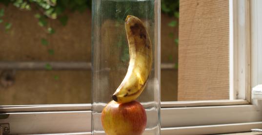 Tag der Ernährung