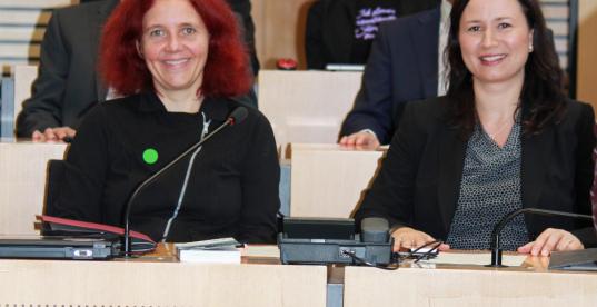 Grüne Fraktion im Thüringer Landtag