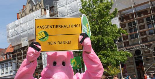 Bild zur News
