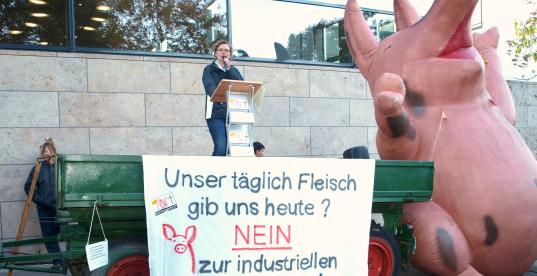 Bild zur Pressemitteilung