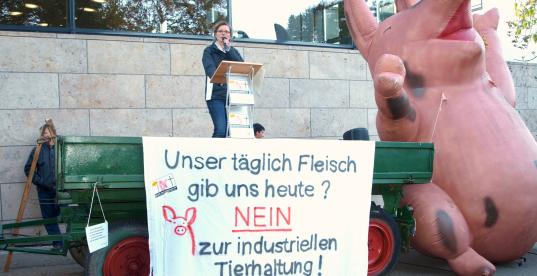 Bild zur News