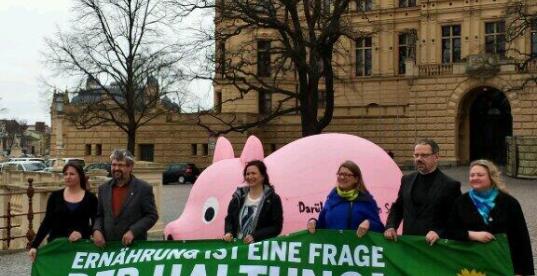 Bild zur News
