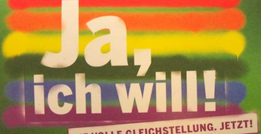 Bild zur News