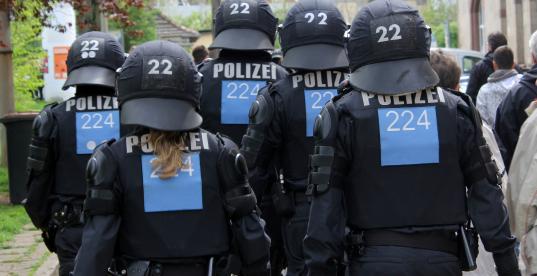 Bild zur News
