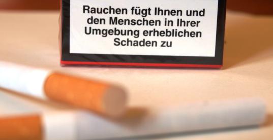 Bild zur News