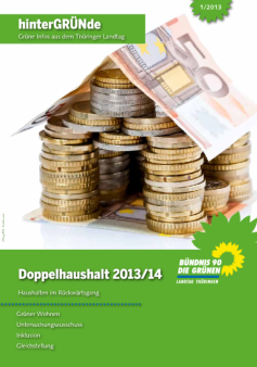Fraktionszeitung: hinterGRÜNde 1/2013: hinterGRÜNde 1/2013 Thumbnail