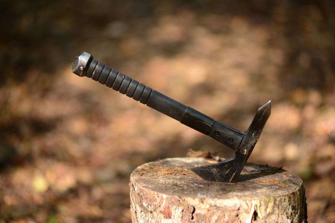 axt völkisch wikinger