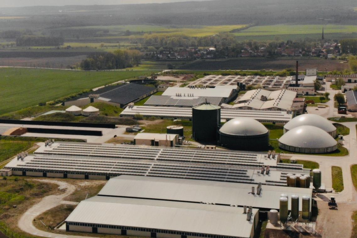 Tierfabrik Massentierhaltung