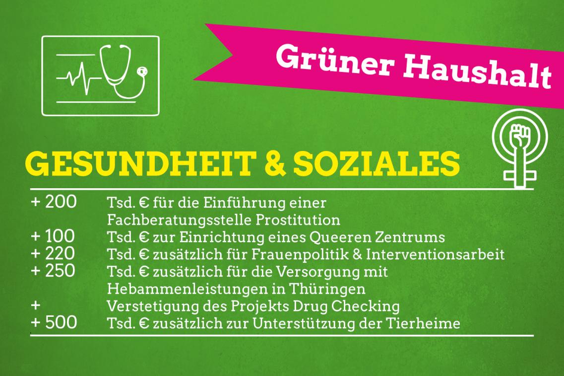 Haushalt Gesundheit und Soziales