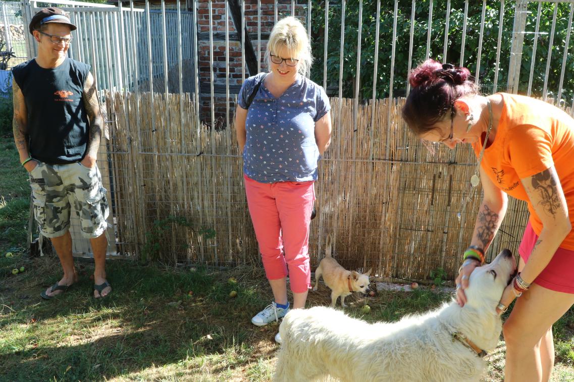 Babett Pfefferlein mit den Seelentröstern und Hunden 