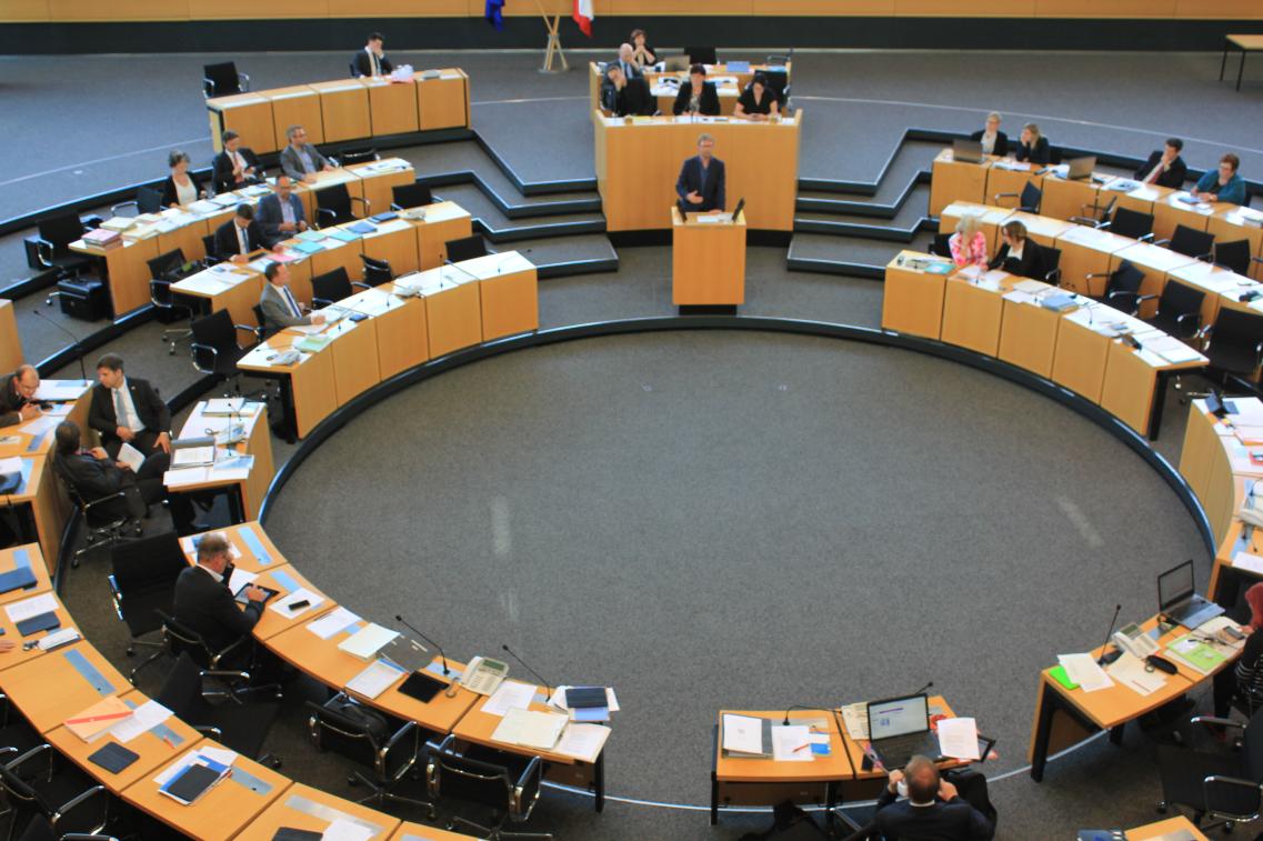 Dirk im Plenum