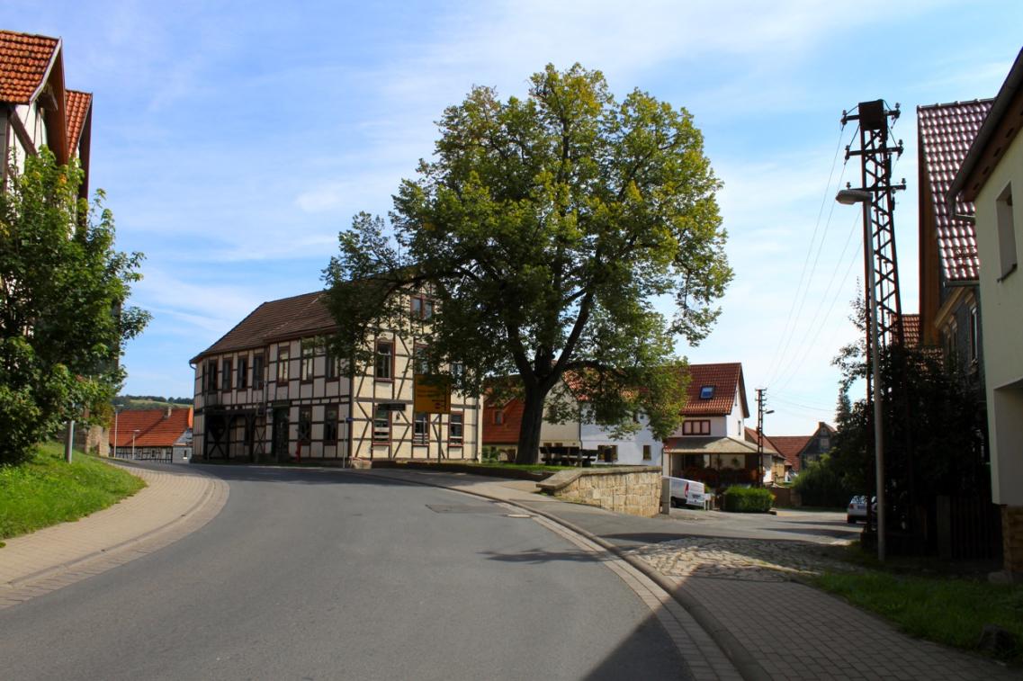 Immobilien