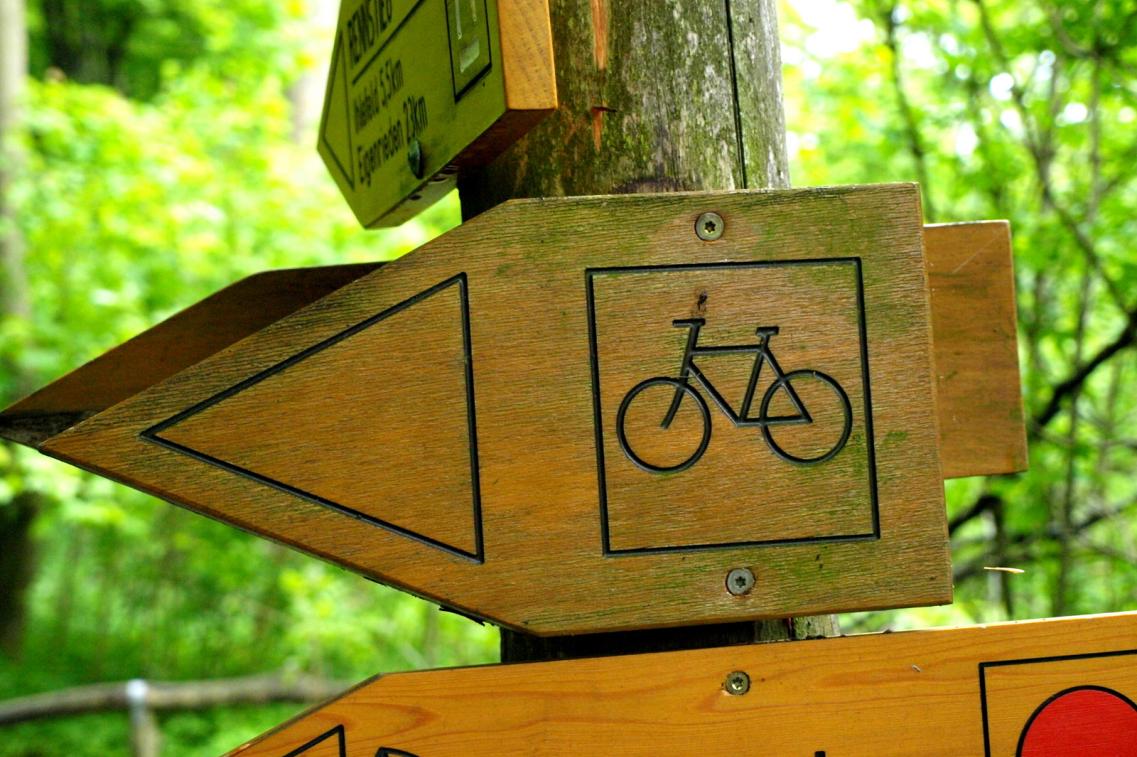Schild radweg wald hainich