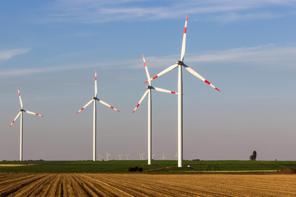Windräder auf einem Feld