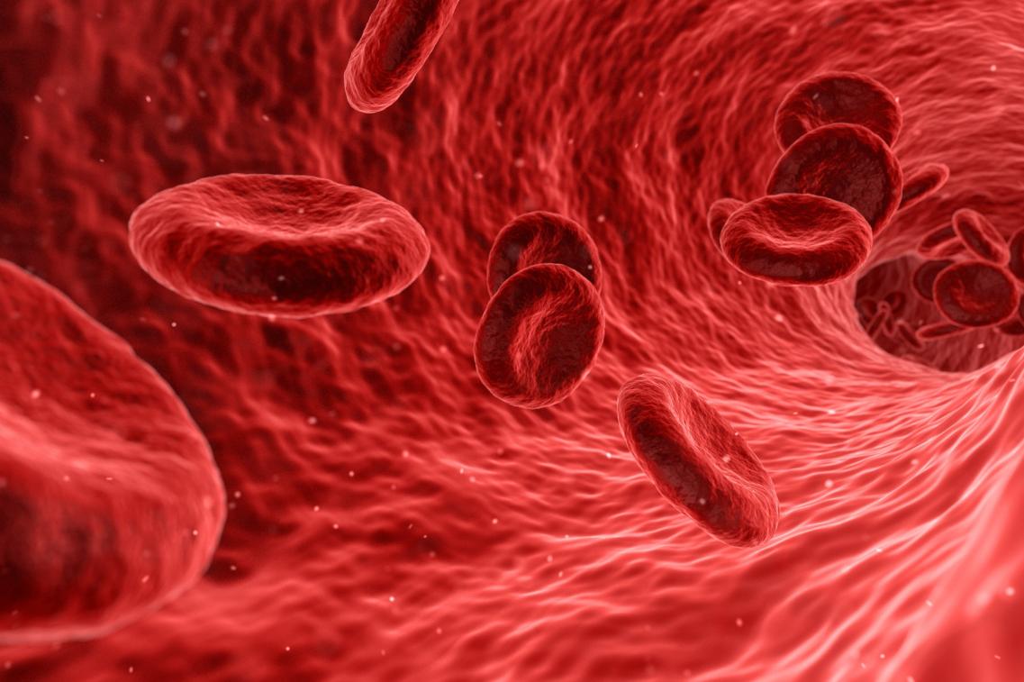Rote Blutkörperchen