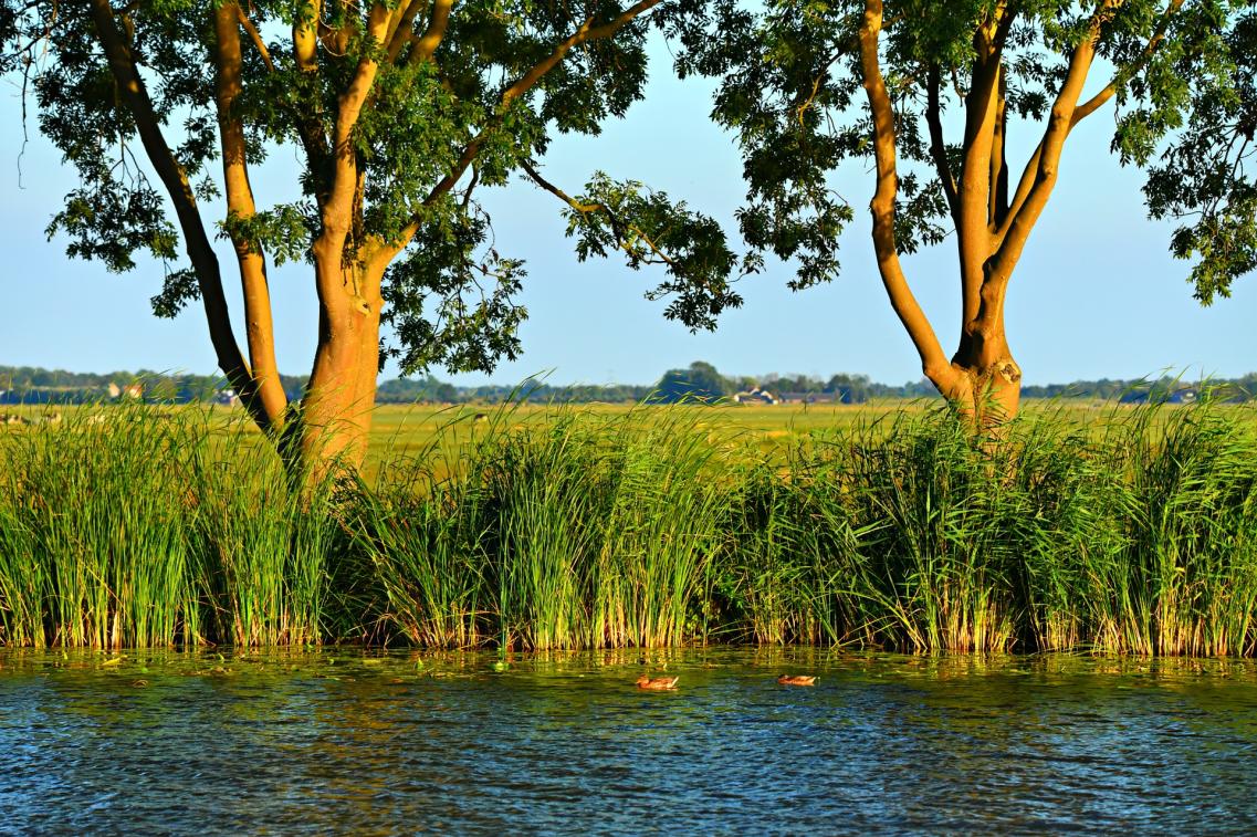 Wasser Ufer