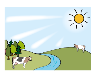 Landschaft mit Kühen 