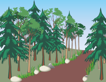 Wald Wald